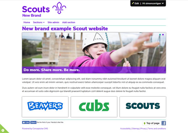 Development template